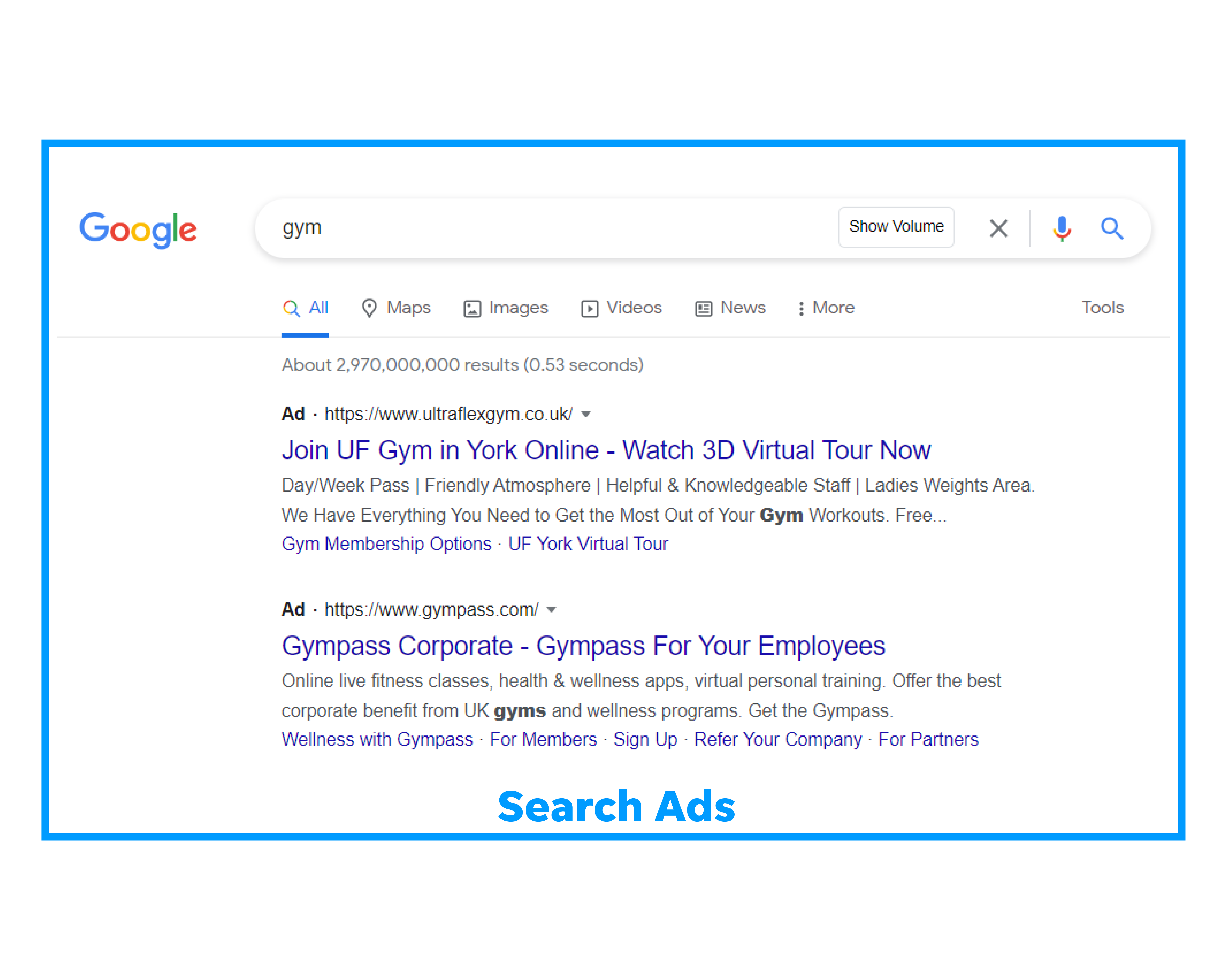 Screenshot of Googles search engine results page with gym text adverts