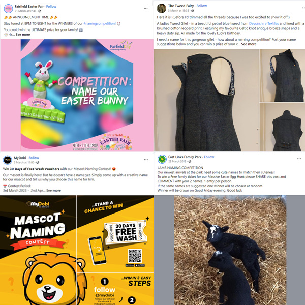 4 examples of brands using naming competitions on Facebook