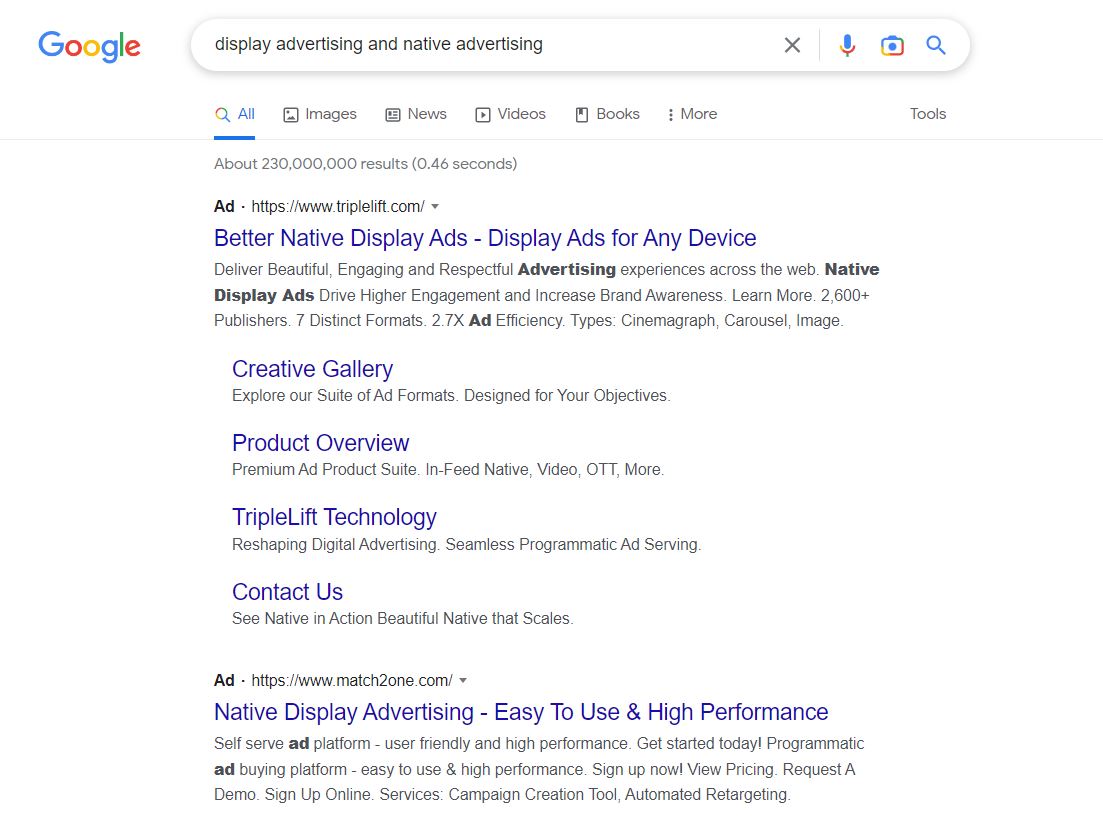 Paid Search Ad| Google Example.