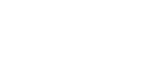 Winner Agency Awards SEO Agency of the Year