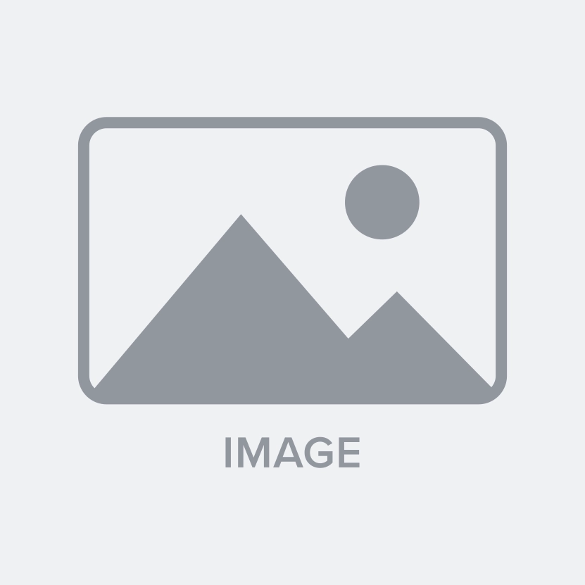 What does an SEO audit do