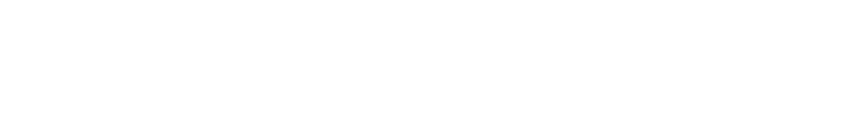 Winner Agency Awards SEO Agency of the Year