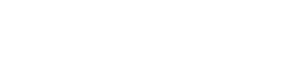 Winner Agency Awards SEO Agency of the Year